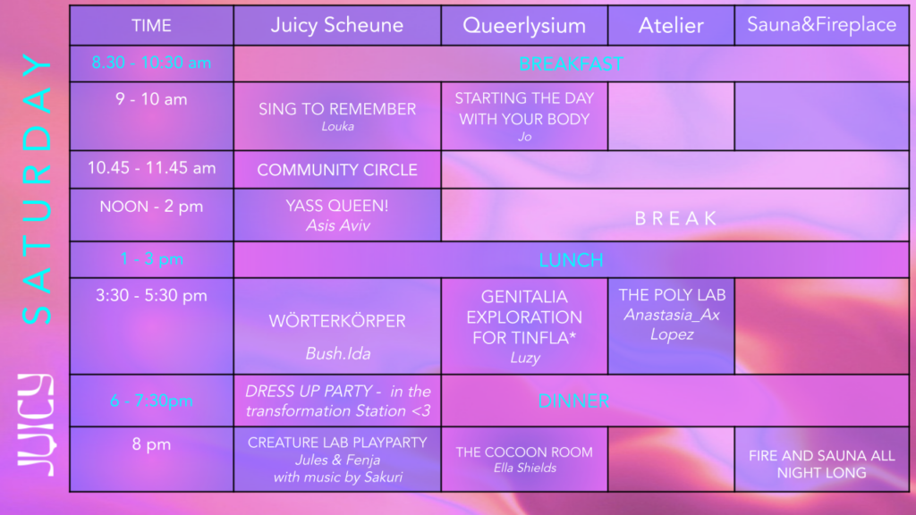 Juicy Lab Program 25 .pptx (3)