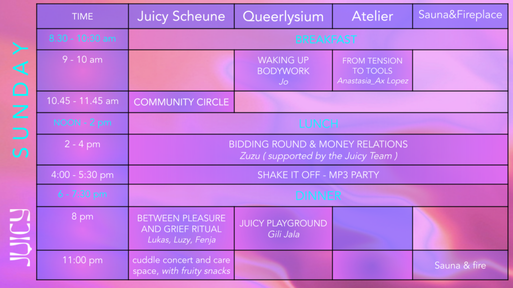 Juicy Lab Program 25 .pptx (4)