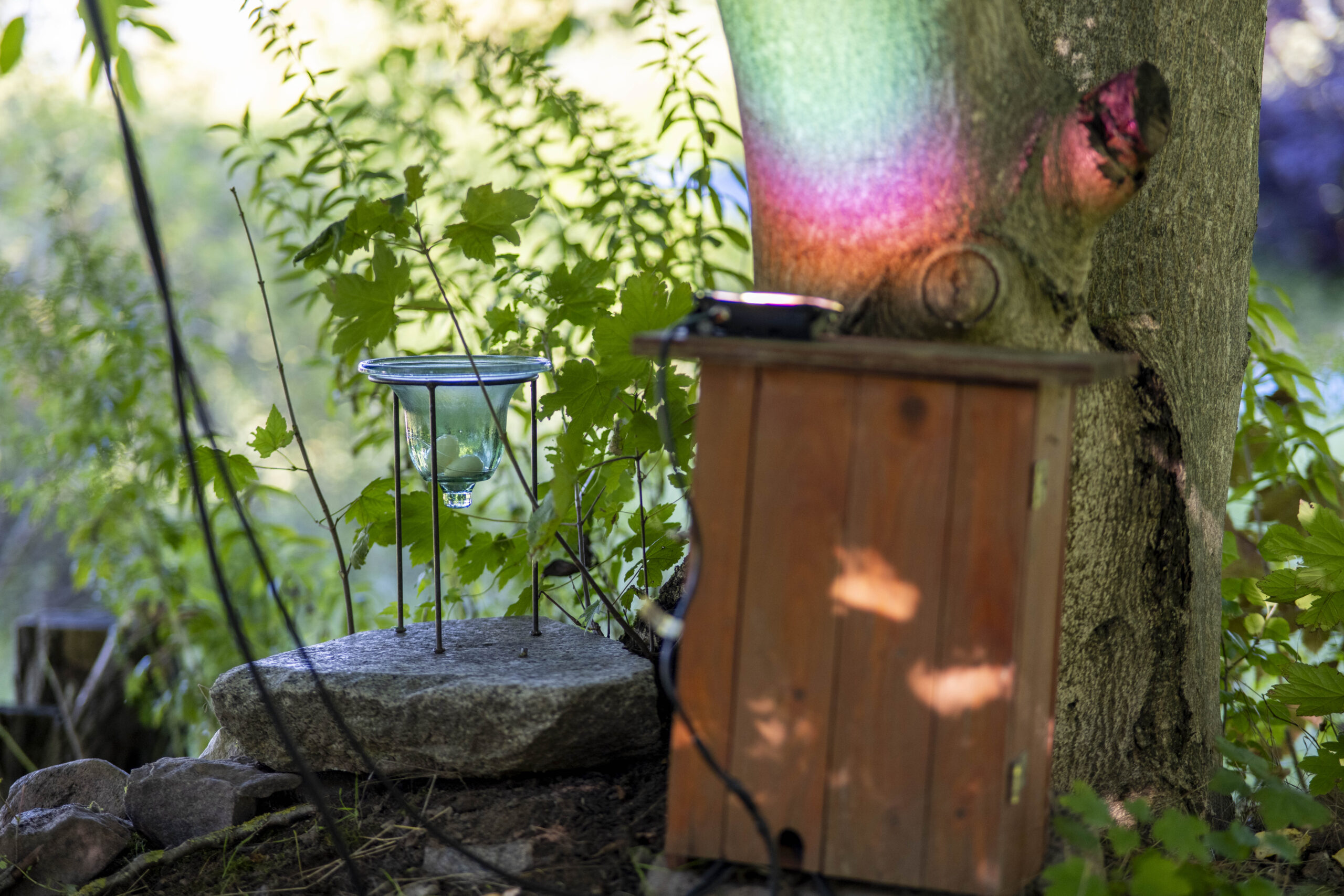 Ein Holzkästchen vor einem Baum, Lichtspiegelungen am Stamm und ein kelines Gefäß